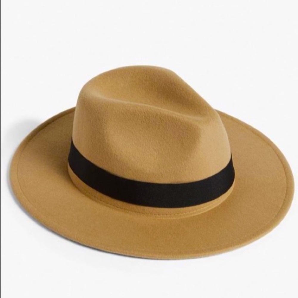 Brown Fedora W/ Black Ribbon Wrapped Around The Brim Hat